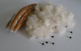 kapok